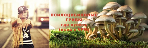 стафф Касимов