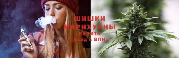 стафф Касимов
