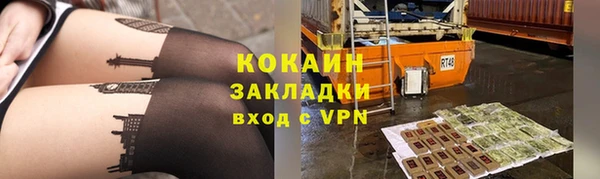 стафф Касимов