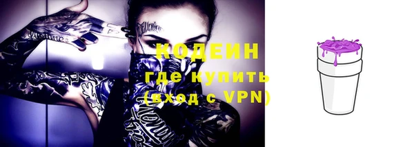 стафф Касимов