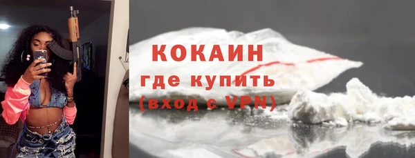 стафф Касимов
