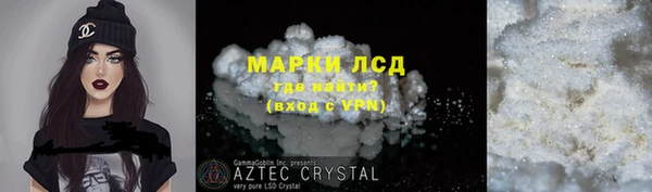 стафф Касимов