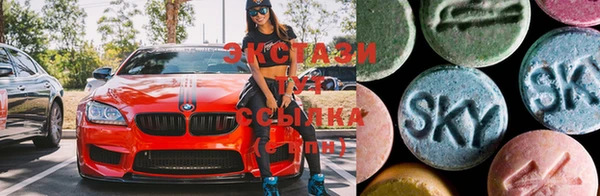 стафф Касимов
