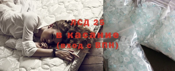 стафф Касимов