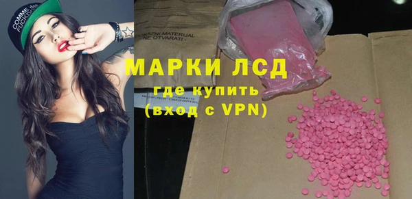стафф Касимов