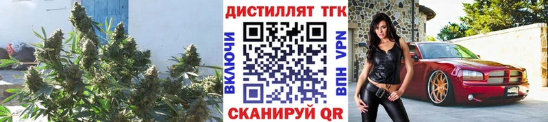 ТГК THC oil  Купить  Межгорье 
