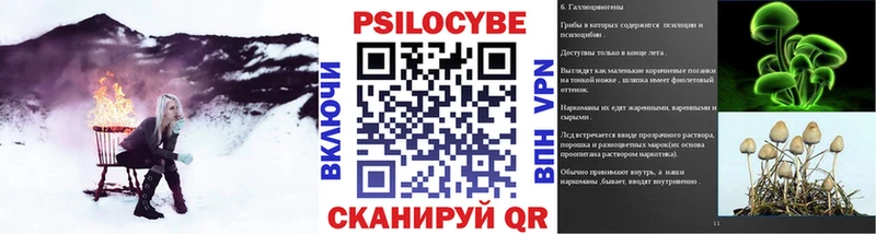 Галлюциногенные грибы Magic Shrooms  Купить где  Межгорье 